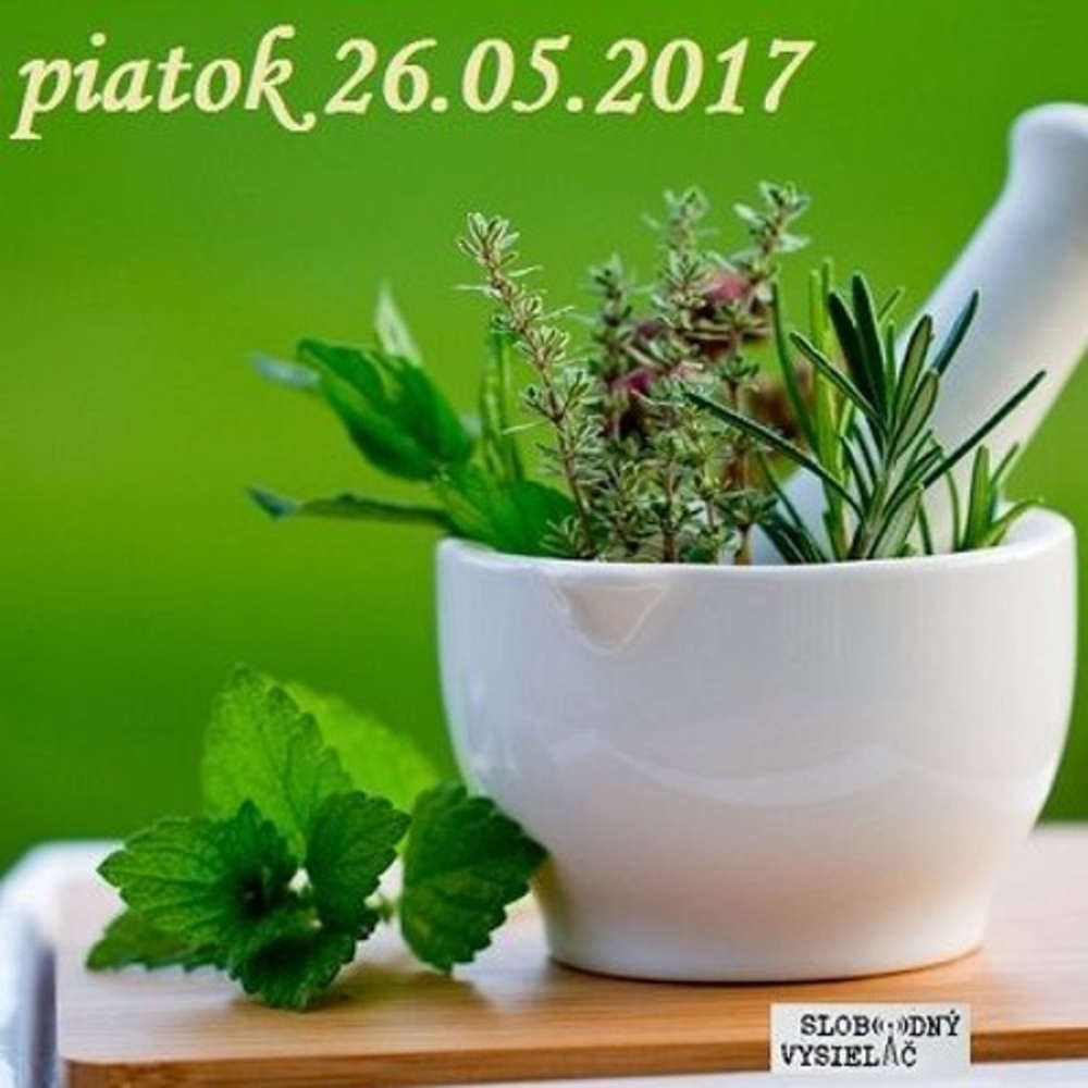 Rie enia a alternativy 21 2017 05 26 Lie enie rastlinami