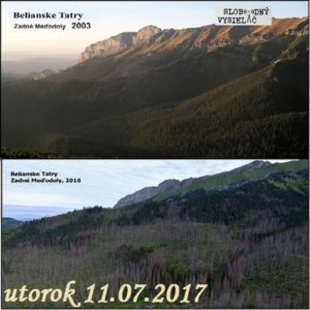 V prvej linii 2017 07 11 Slovenske lesy v smrte nom ohrozeni