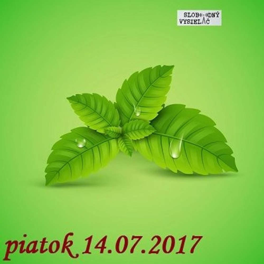 Rie enia a alternativy 28 2017 07 14 Jedla priroda