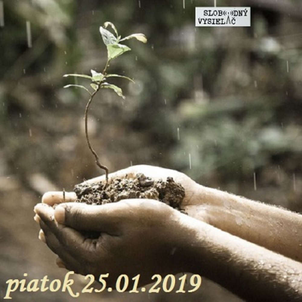 Cesta vzostupu 87 2019 01 25 Zmysel ivota a jeho h adanie