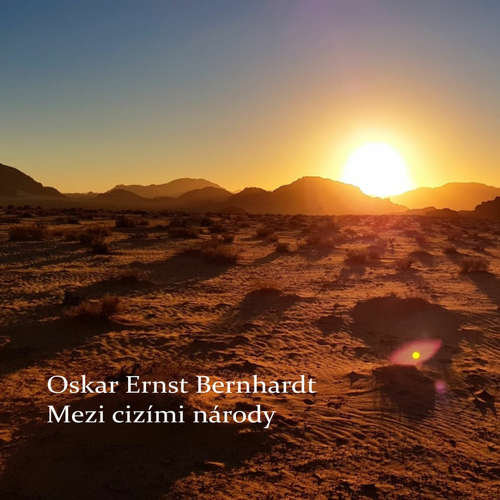 Mezi cizími národy - XXVI - Ali a krevní mstitel