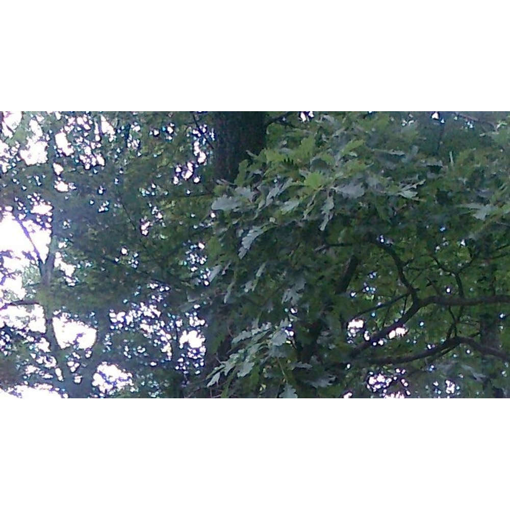Rádiovíkend (Sobota 23.12.2017 09:05)