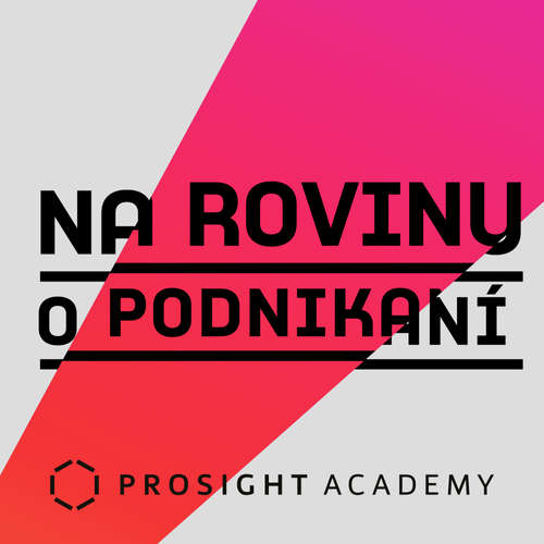 Na rovinu o podnikaní