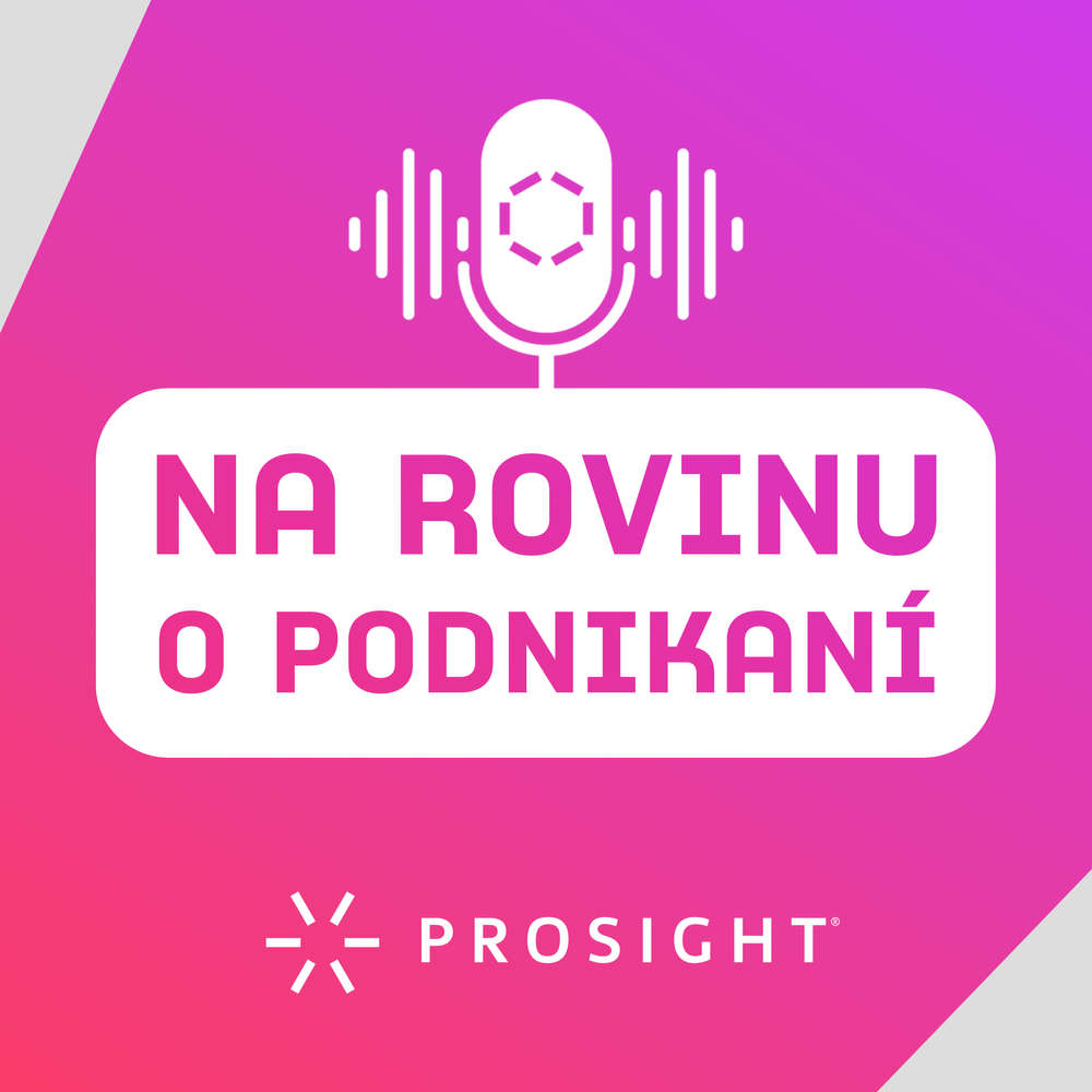 Na rovinu o podnikaní