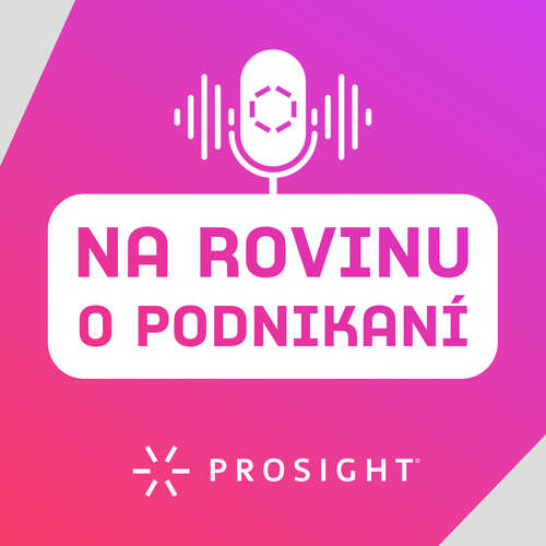 Na rovinu o podnikaní