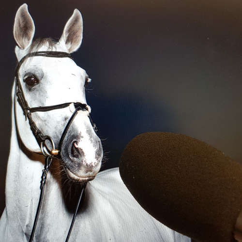 EquiTV