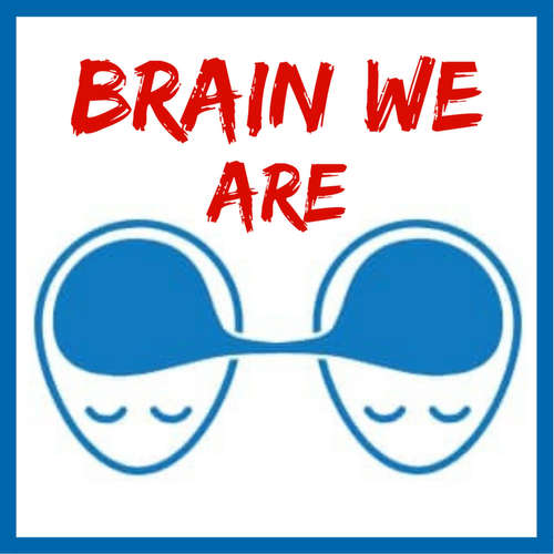 Brain We Are CZ